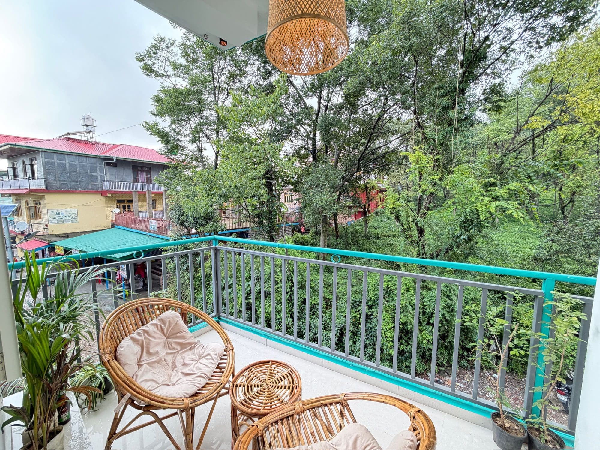 Balcony looking into deodar and pine trees above Bir